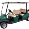 Birdie 6 golf cars