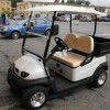 Birdie Cargo S golf car