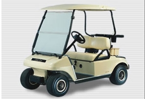 DS golf car