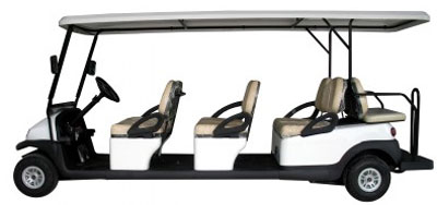 Birdie 8 golf car