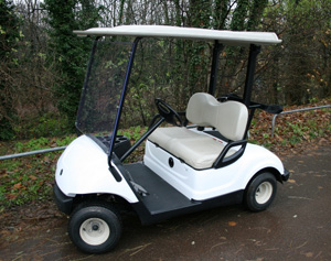 Yamaha G29 golf autic1