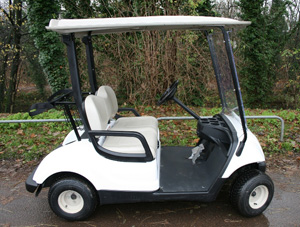 Yamaha G29 golf autic2