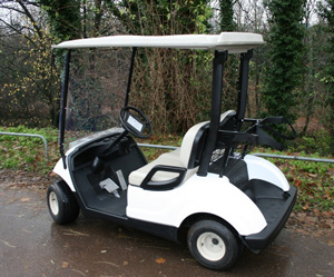 Yamaha G29 golf autic3