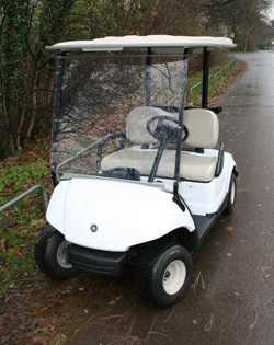 Yamaha G29 golf autic4
