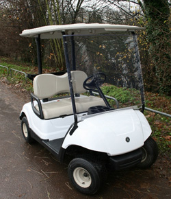 Yamaha G29 golf autic5