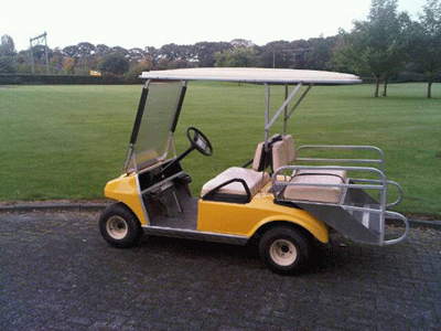 DS IQ electric rabljeni golf autić